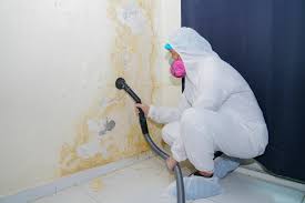 Best Real Estate Mold Inspection  in Montague, CA